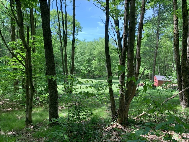 Braehead Rd, Kortright, NY 13739 - photo 8
