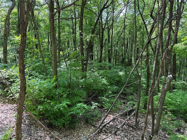Braehead Rd, Kortright, NY 13739 - photo 15