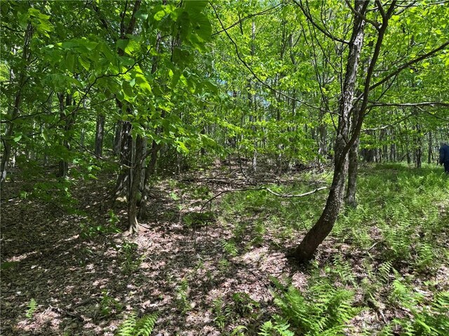 Braehead Rd, Kortright, NY 13739 - photo 16