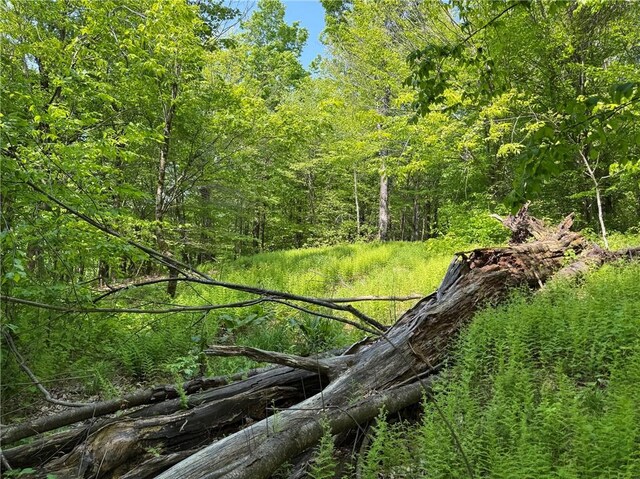 Braehead Rd, Kortright, NY 13739 - photo 17
