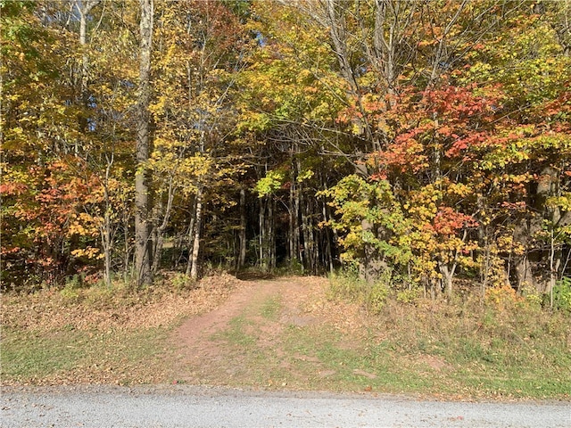 Braehead Rd, Kortright, NY 13739 - photo 28