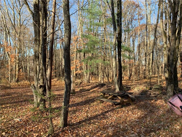Braehead Rd, Kortright, NY 13739 - photo 31