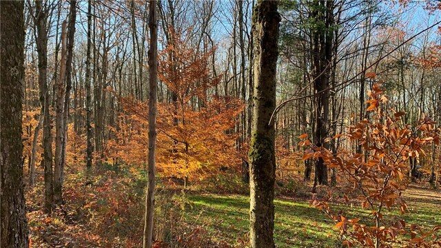 Braehead Rd, Kortright, NY 13739 - photo 34