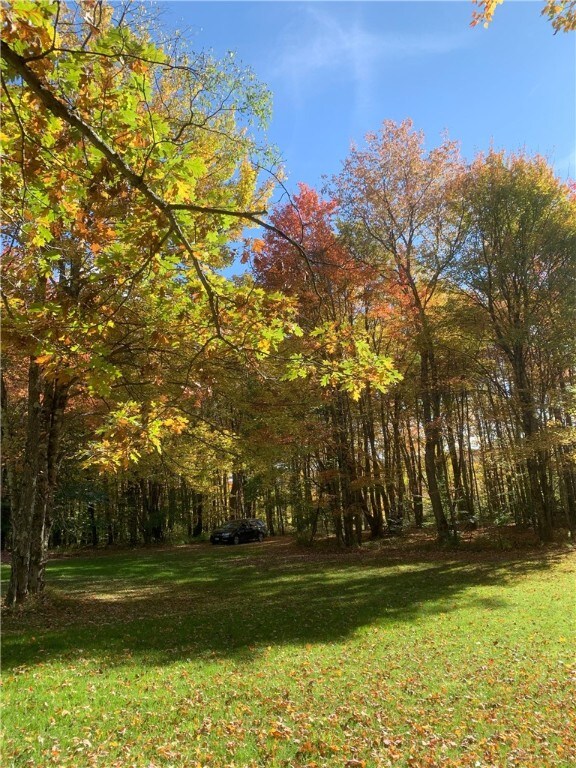 Braehead Rd, Kortright, NY 13739 - photo 24