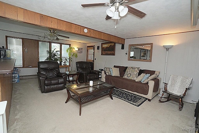 3042 Baseline Rd, Grand Island, NY 14072 - carpeted living area with ceiling fan