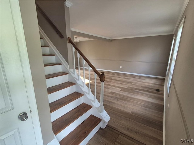 8501 Snowshoe, Cicero, NY 13039 - photo 10