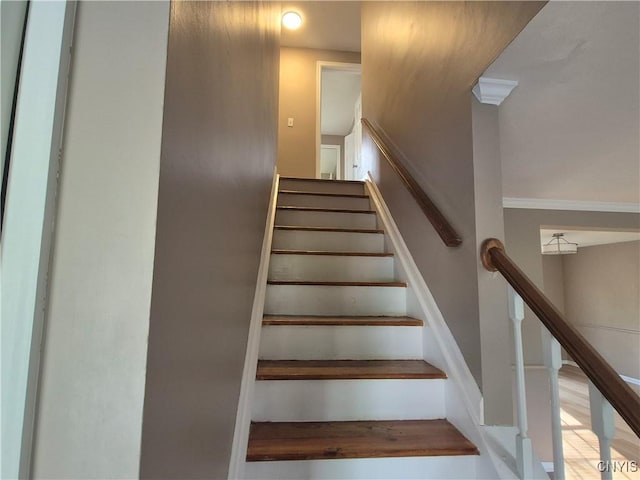 8501 Snowshoe, Cicero, NY 13039 - photo 11