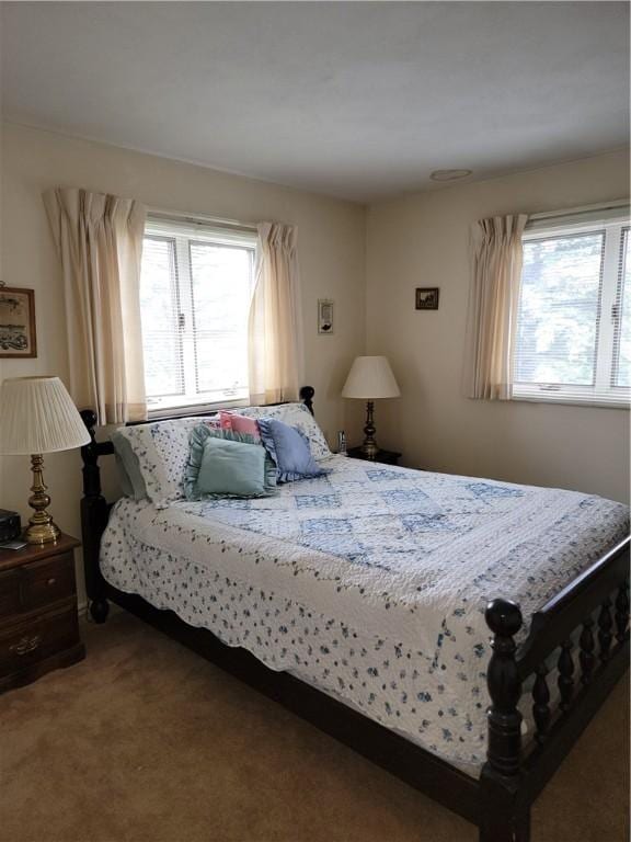 16 Cole Dr, Norwich, NY 13815 - photo 42