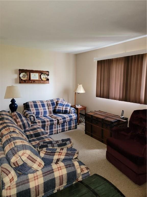 16 Cole Dr, Norwich, NY 13815 - photo 38