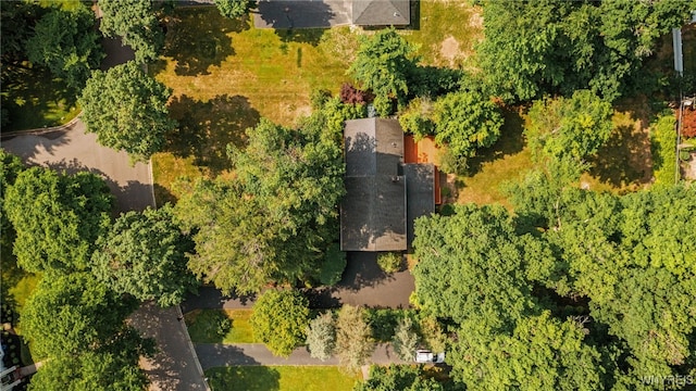 100 Rollingwood St, Amherst, NY 14221 - photo 34