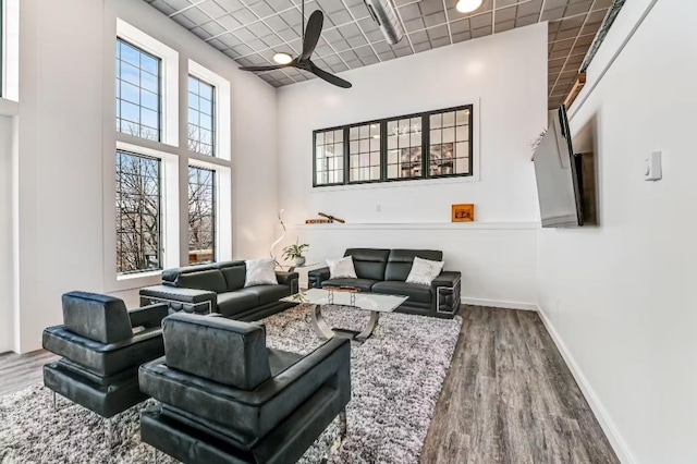11059 Gold Seal Way, Urbana, NY 14840 - living area with wood finished floors, ceiling fan, a high ceiling, and a paneled ceiling