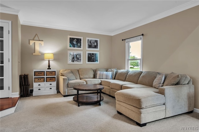 9210 Via Cimato Dr, Clarence, NY 14032 - living room with ornamental molding and light colored carpet