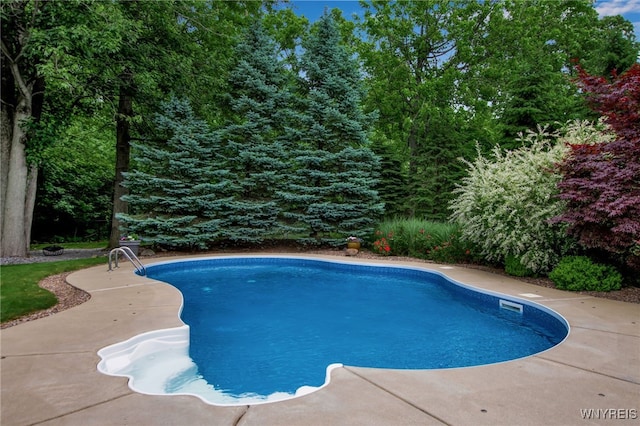 9210 Via Cimato Dr, Clarence, NY 14032 - swimming pool featuring a patio