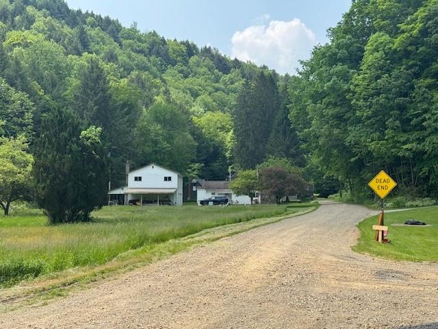 3627 Irish Ave Unit B, Willing, NY 14895 - view of road with a forest view and traffic signs