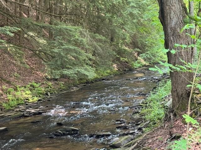 3627 Irish Ave Unit B, Willing, NY 14895 - view of undeveloped land