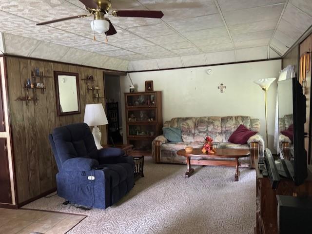 3627 Irish Ave Unit B, Willing, NY 14895 - carpeted living room with wooden walls and ceiling fan
