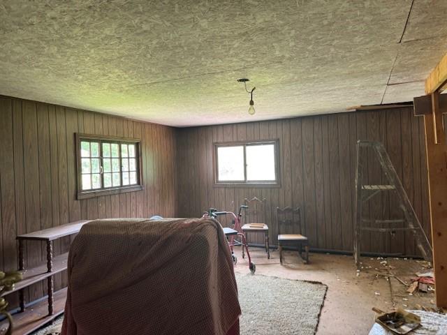 3627 Irish Ave Unit B, Willing, NY 14895 - living area featuring healthy amount of natural light