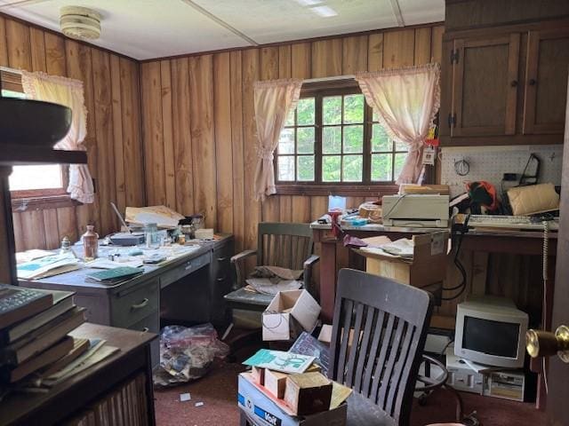 3627 Irish Ave Unit B, Willing, NY 14895 - office area with wooden walls