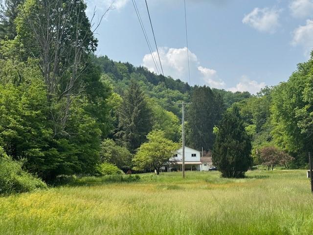 3627 Irish Ave Unit B, Willing, NY 14895 - view of yard featuring a wooded view