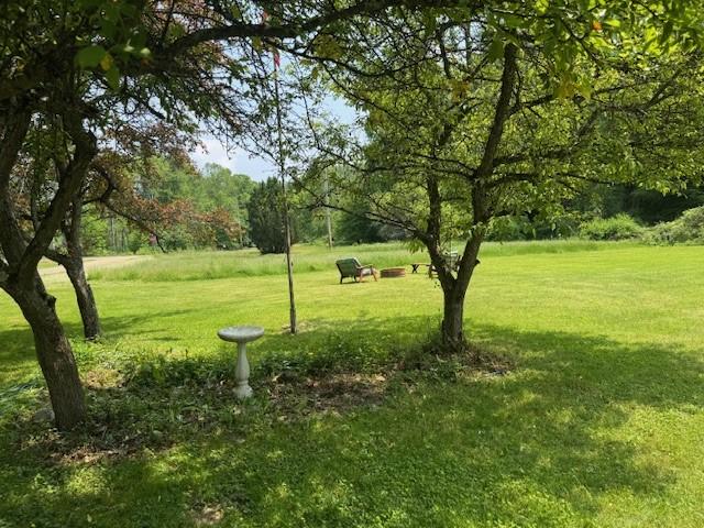 3627 Irish Ave Unit B, Willing, NY 14895 - view of home's community with a lawn