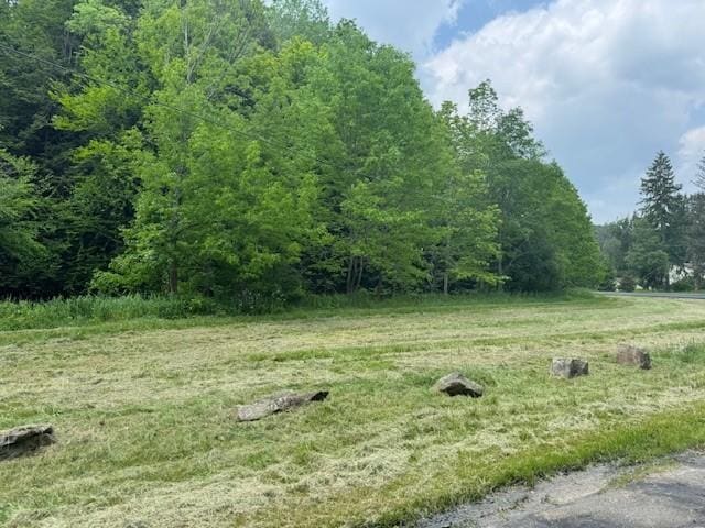 3627 Irish Ave Unit B, Willing, NY 14895 - view of yard with a forest view