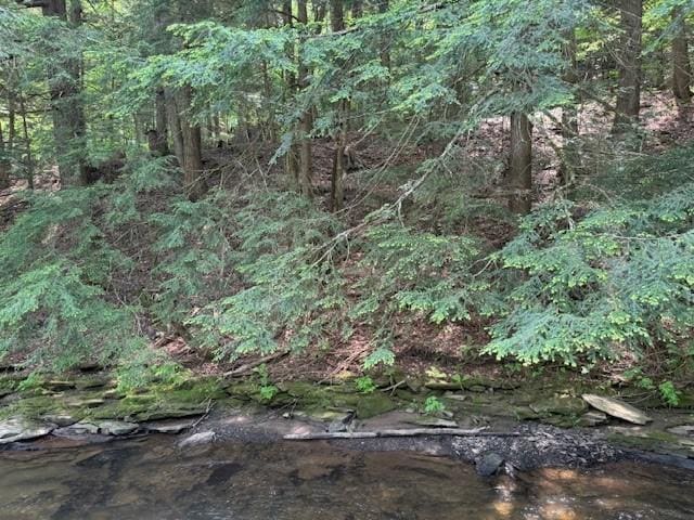 3627 Irish Ave Unit B, Willing, NY 14895 - view of undeveloped land