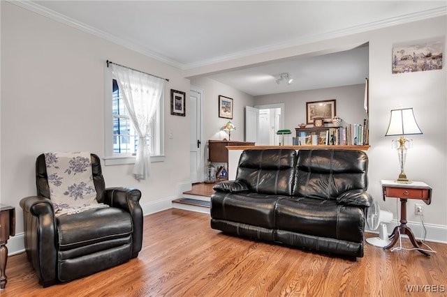 87 Pasadena Pl, Amherst, NY 14221 - living area featuring wood finished floors and crown molding