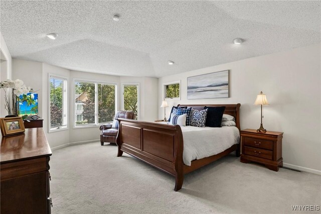 13 Thames Ct, Amherst, NY 14221 - carpeted bedroom featuring baseboards and a textured ceiling