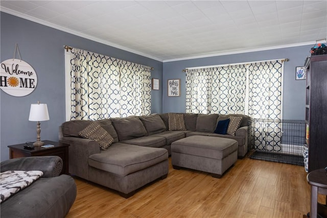 109 Oakwood Ave, Elmira, NY 14903 - living area with light wood finished floors and ornamental molding