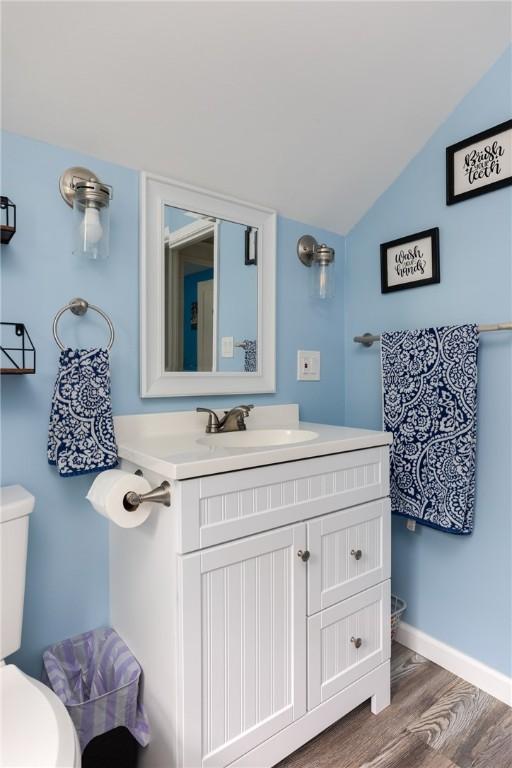 109 Oakwood Ave, Elmira, NY 14903 - bathroom featuring vanity, wood finished floors, and lofted ceiling