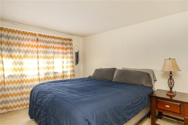 109 Oakwood Ave, Elmira, NY 14903 - bedroom with carpet flooring