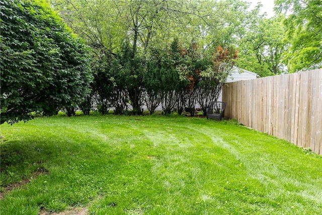 109 Oakwood Ave, Elmira, NY 14903 - view of yard