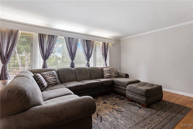 129 Butternut Dr, Dewitt, NY 13214 - living room with ornamental molding, plenty of natural light, and wood finished floors