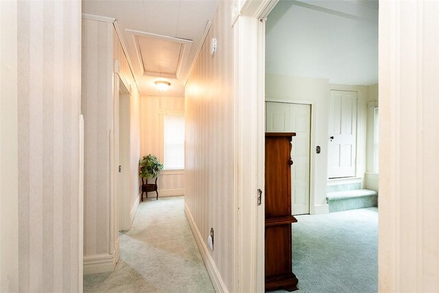 203 Main St, Leicester, NY 14481 - photo 30