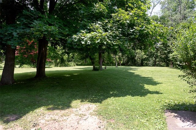 203 Main St, Leicester, NY 14481 - photo 34