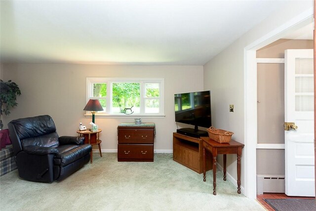 203 Main St, Leicester, NY 14481 - photo 15