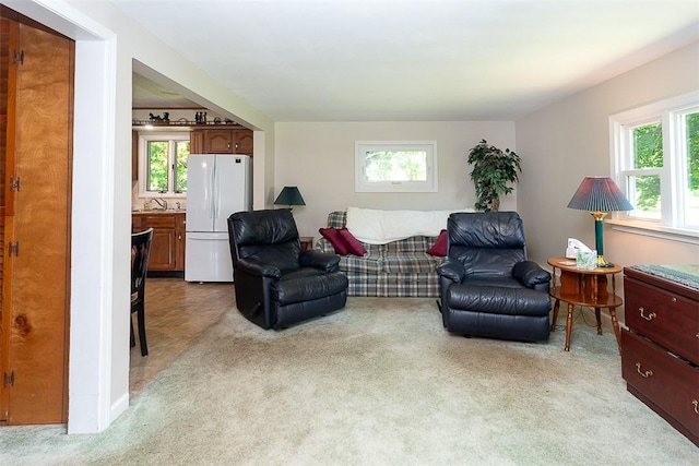 203 Main St, Leicester, NY 14481 - photo 16