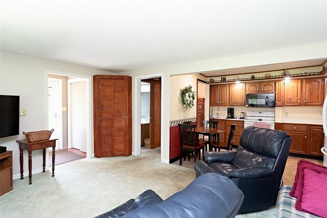 203 Main St, Leicester, NY 14481 - photo 17