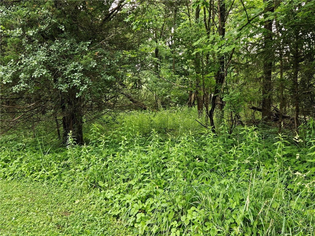 Sims Ln, Cazenovia, NY 13035 - photo 1