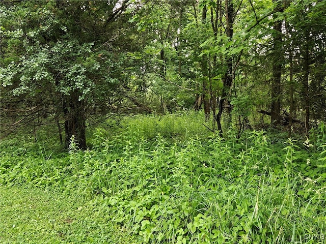 Sims Ln, Cazenovia, NY 13035 - photo 1
