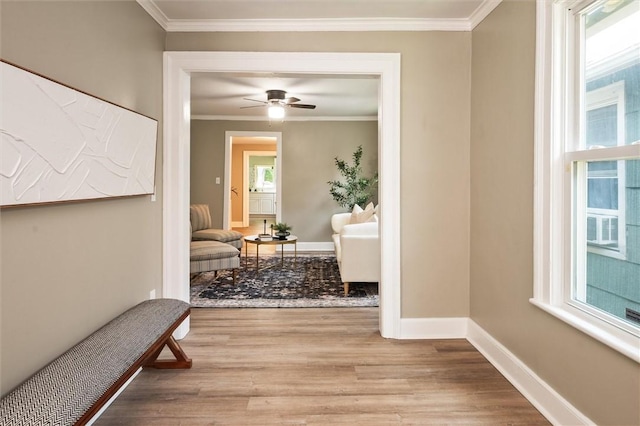 69 Diem St, Rochester, NY 14620 - hall featuring light wood-style floors and crown molding