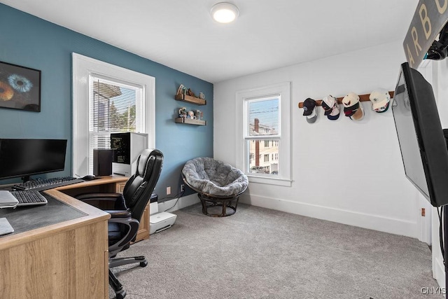 133 Bryant Ave, Syracuse, NY 13204 - office with healthy amount of natural light and carpet