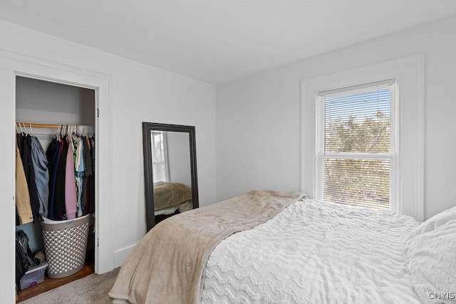 133 Bryant Ave, Syracuse, NY 13204 - bedroom with multiple windows, a closet, and carpet