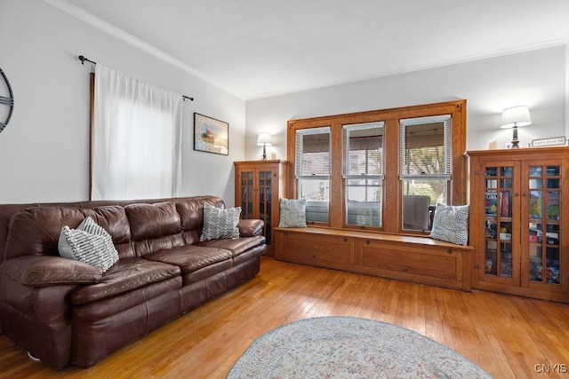 133 Bryant Ave, Syracuse, NY 13204 - living room featuring hardwood / wood-style flooring and ornamental molding