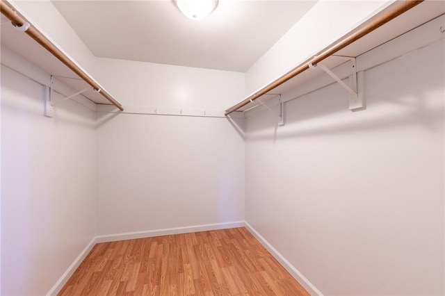 10 Chesfield Lookout, Perinton, NY 14450 - walk in closet featuring light wood-style floors
