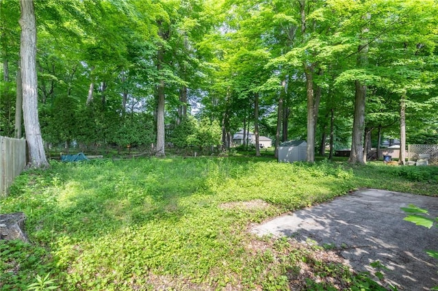 10 Chesfield Lookout, Perinton, NY 14450 - view of yard featuring a storage shed