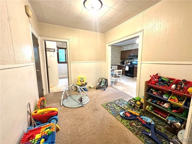 914 S Main St, Shelby, NY 14103 - rec room featuring carpet flooring
