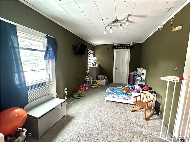 914 S Main St, Shelby, NY 14103 - playroom featuring carpet and crown molding