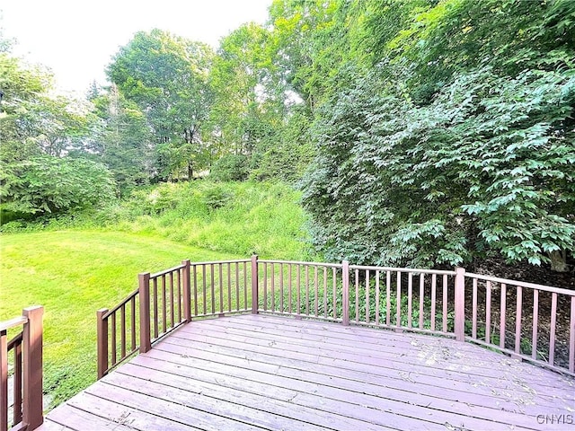 4589 Stoneledge Ln, Manlius, NY 13104 - photo 50