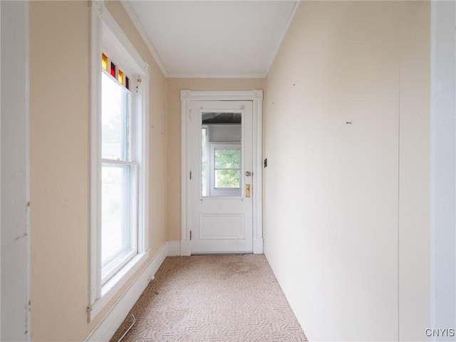 345 Arlington St, Watertown City, NY 13601 - photo 37